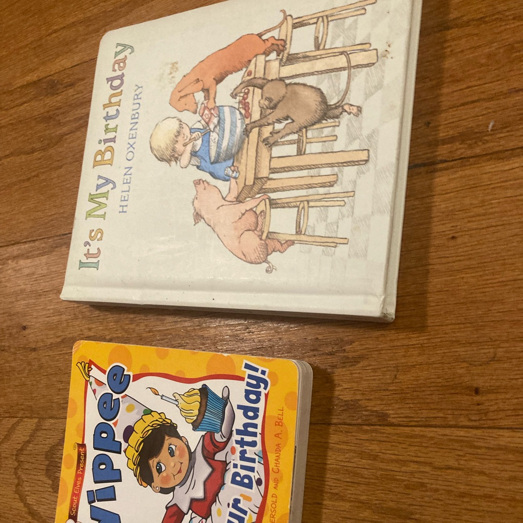 Birthday Book Bundle Children’s Board Books As Pic